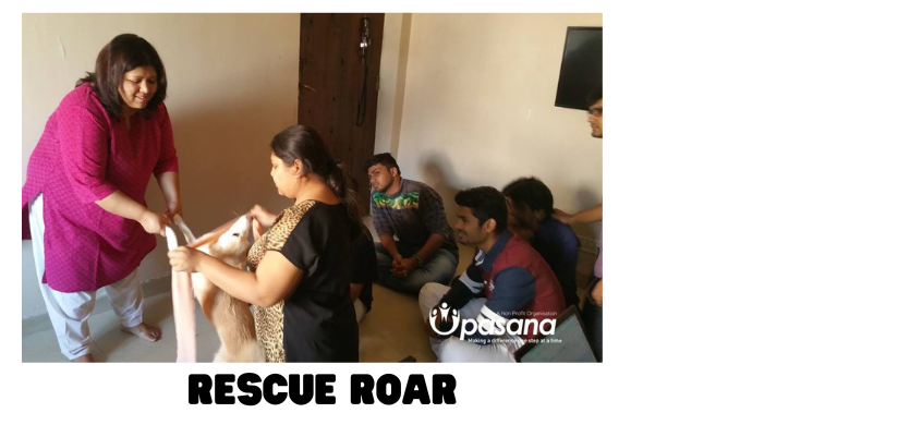 Rescue Roar first aid for animals